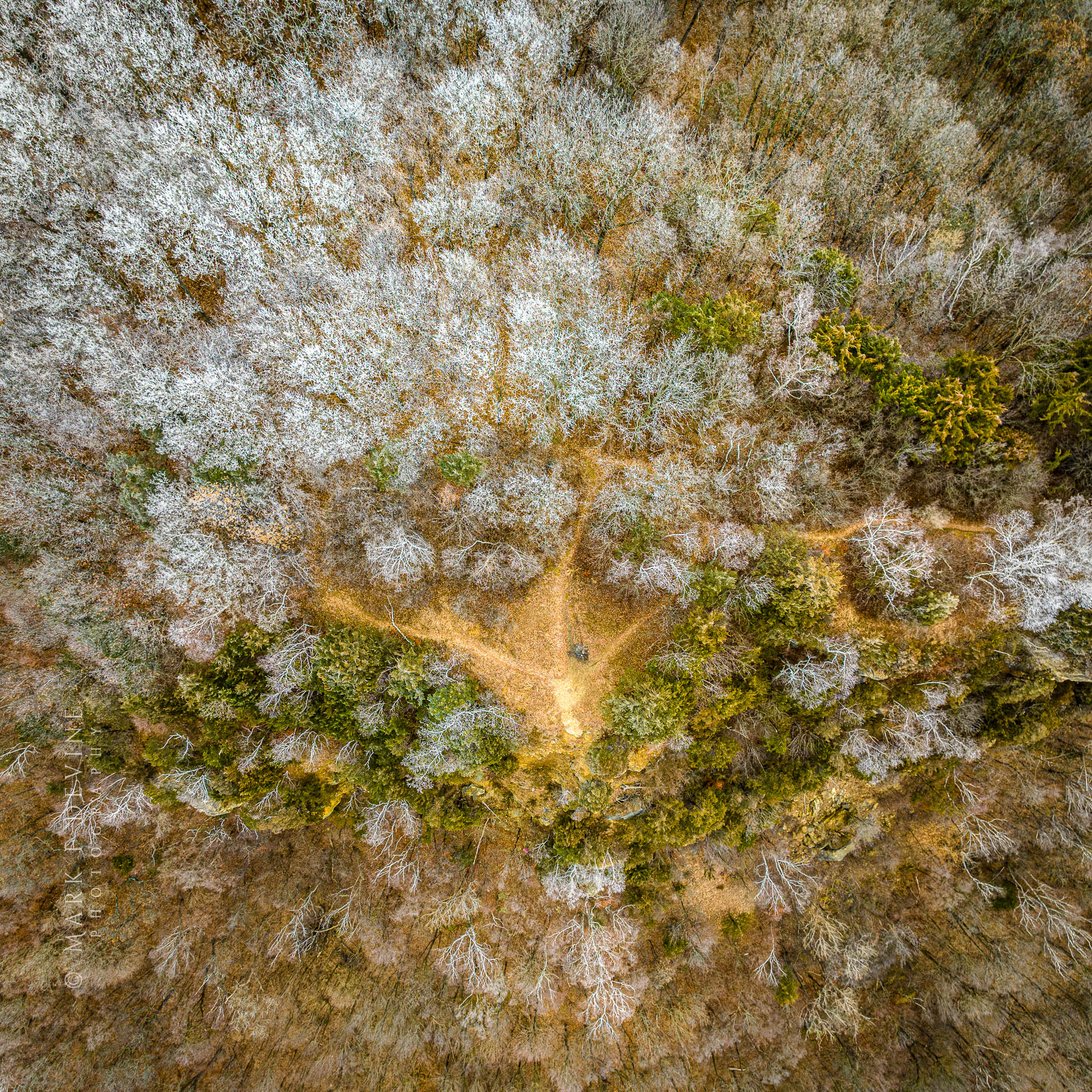 An overhead view of the summit of Cliffwood Bluff in La Crosse, Wisconsin.  Rime ice had coated trees along the ridgeline and...